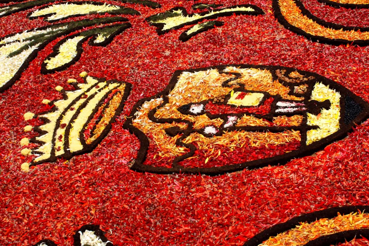 Dettagli dell'infiorata di Noto