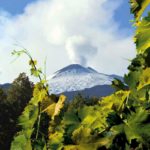 Treno dei vini dell'etna