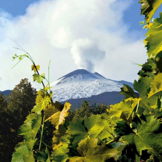 Treno dei vini dell'etna