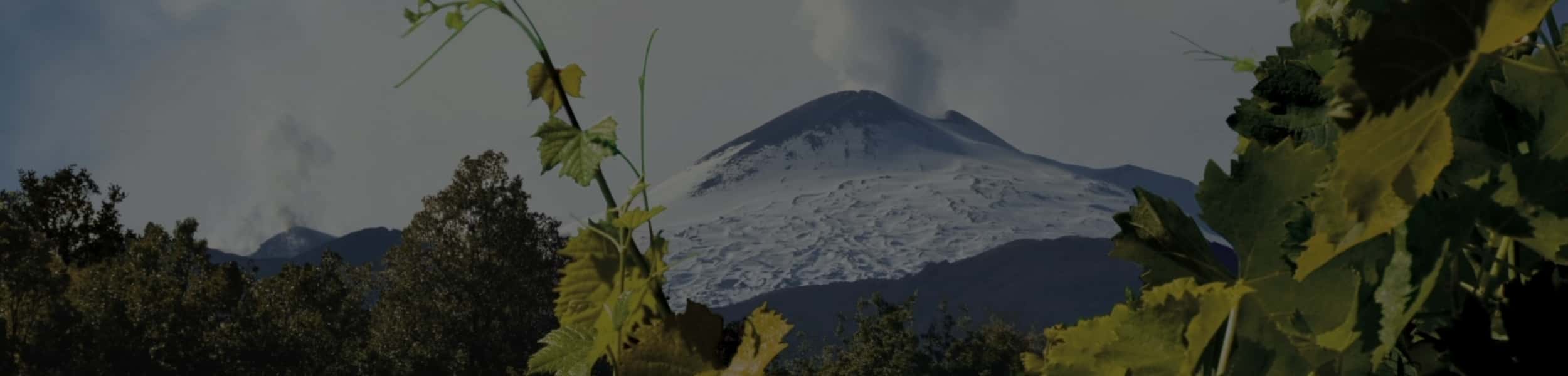 Treno dei Vini dell'Etna